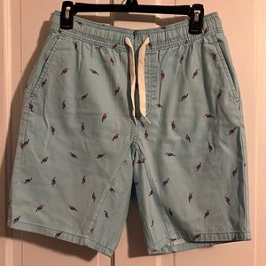 Tropical Turquoise Toucan Trunks!